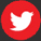 Bulgarian voice over twitter